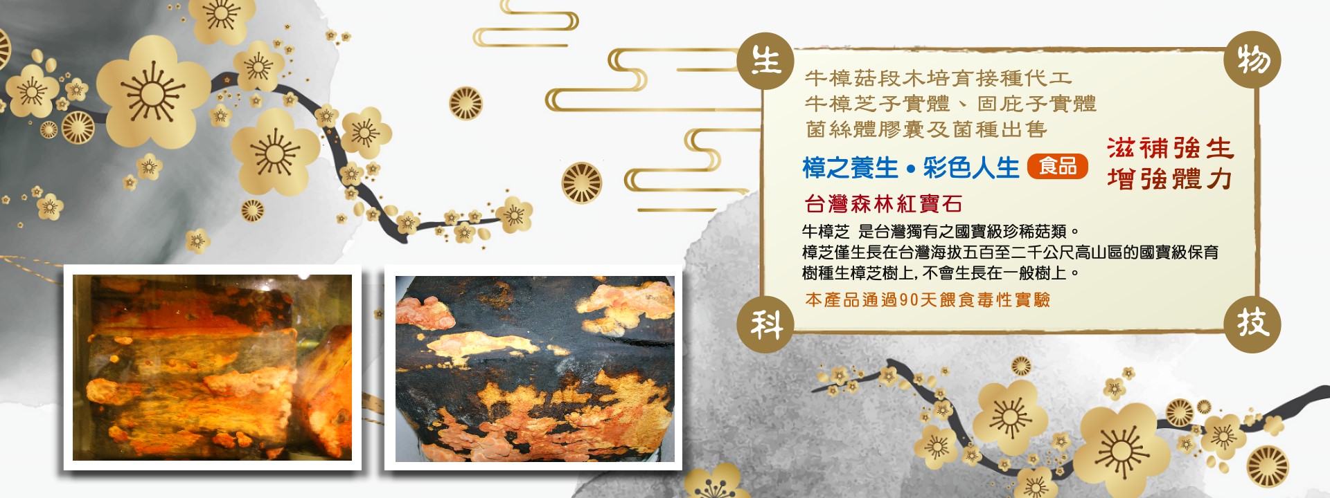 輪播圖2